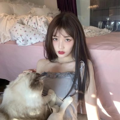 飞盘犬